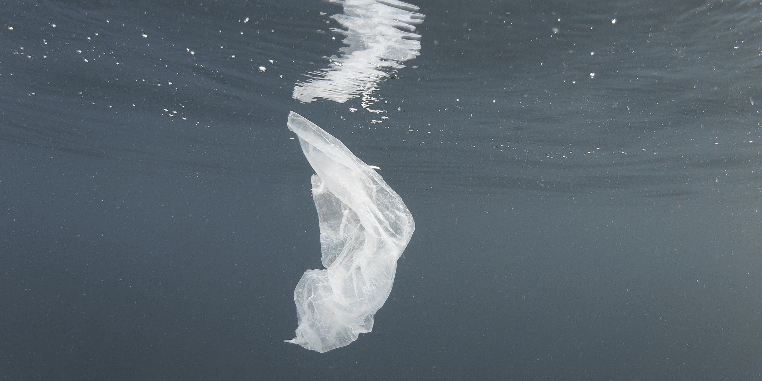 The Ocean Cleanup