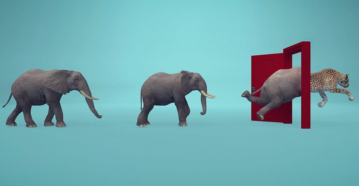 Pensions – strategy and innovation