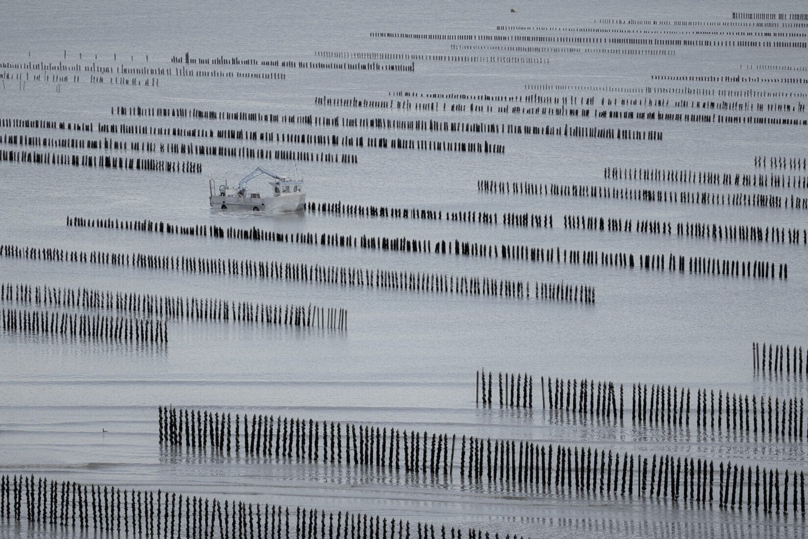 Vom Datensee zum flexiblen Data Lakehouse