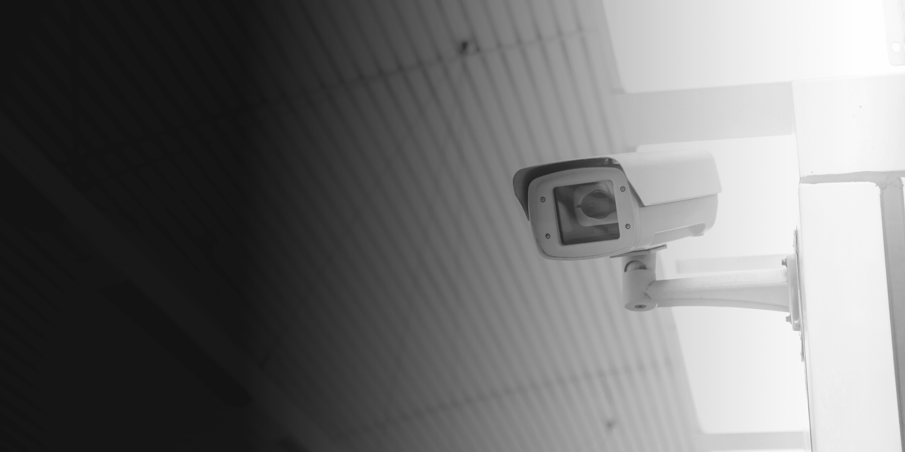 Public security