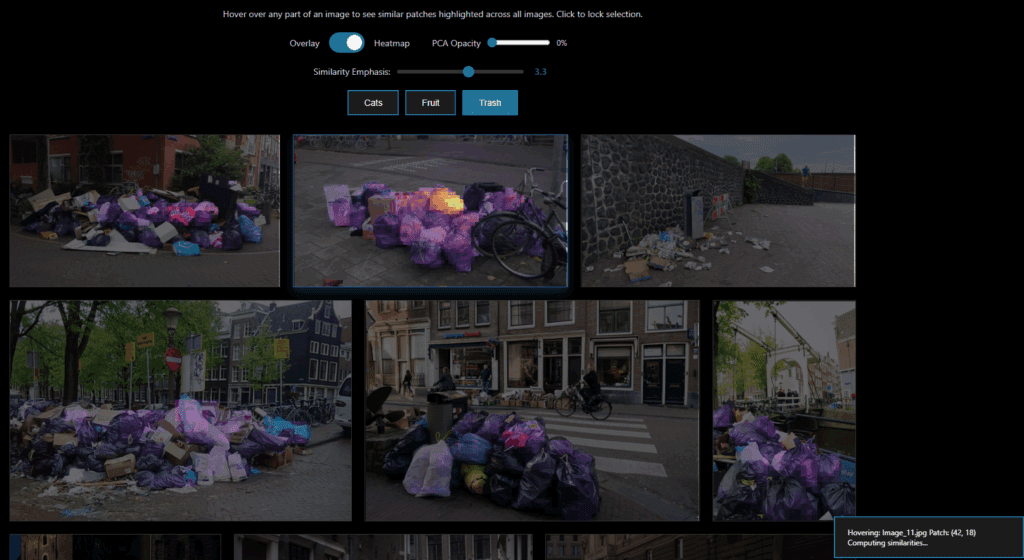 Eraneos DINOv3 Patch Similarity Viewer