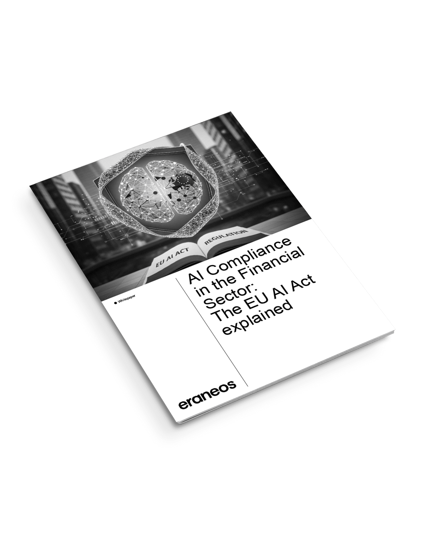 AI compliance in the financial sector: The EU AI Act explained